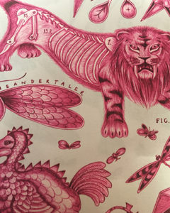 tissu-lion-rouge-clarkeandclarke-tapissier-decorateur-montauban-claire-de-redon